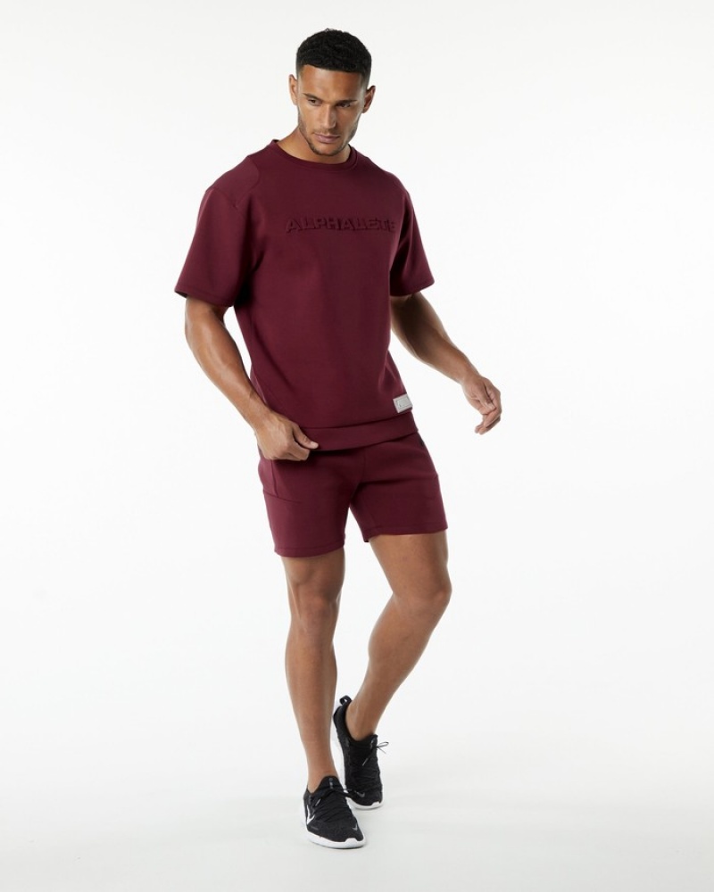 Pantaloni Scurti Barbati Alphalete ELMTS Atletism 6