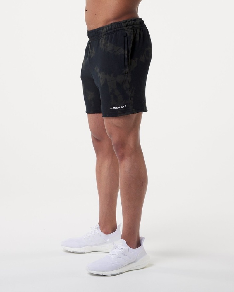 Pantaloni Scurti Barbati Alphalete HCTS 5