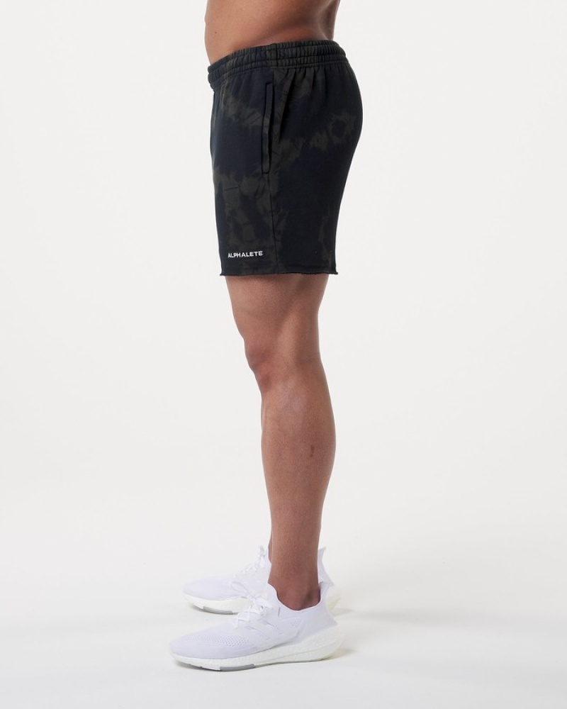 Pantaloni Scurti Barbati Alphalete HCTS 5