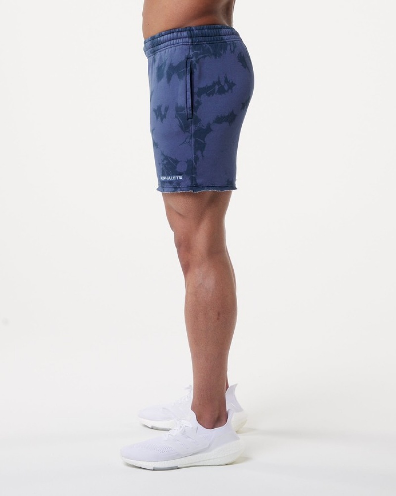 Pantaloni Scurti Barbati Alphalete HCTS 5