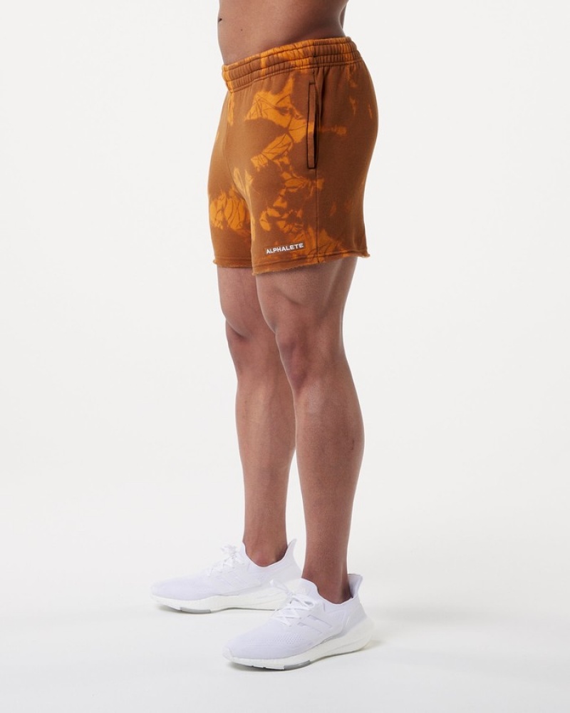 Pantaloni Scurti Barbati Alphalete HCTS 5