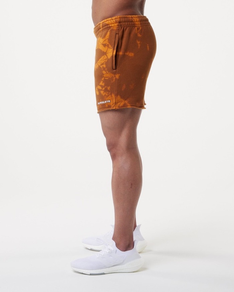 Pantaloni Scurti Barbati Alphalete HCTS 5