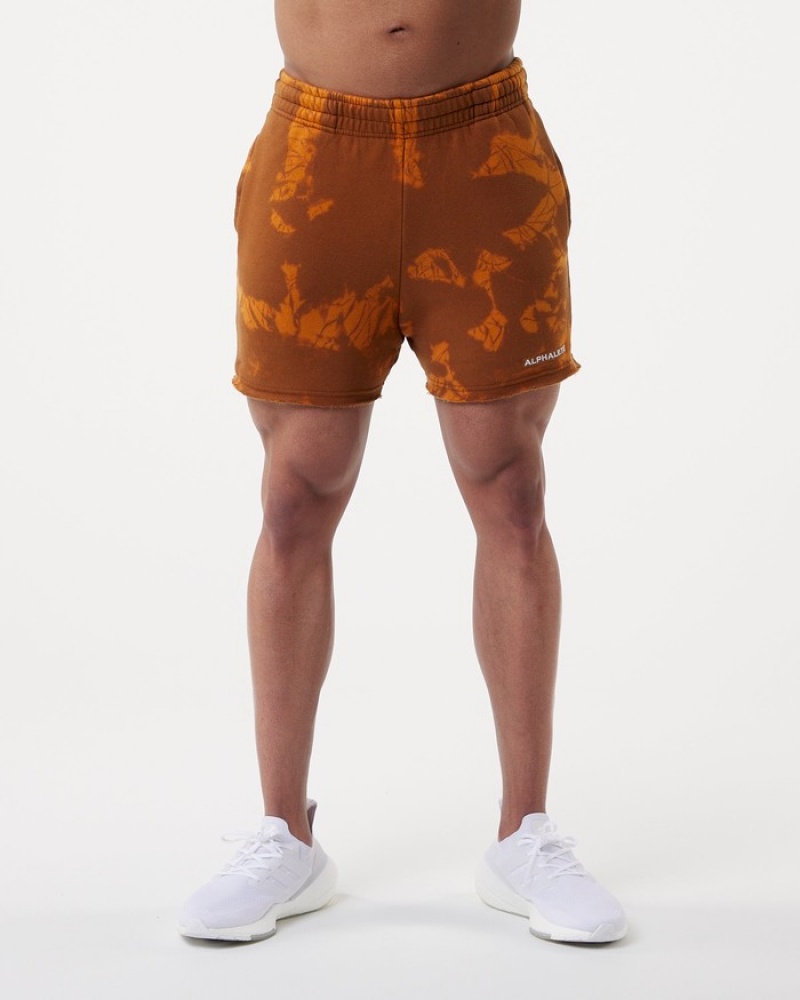 Pantaloni Scurti Barbati Alphalete HCTS 5\