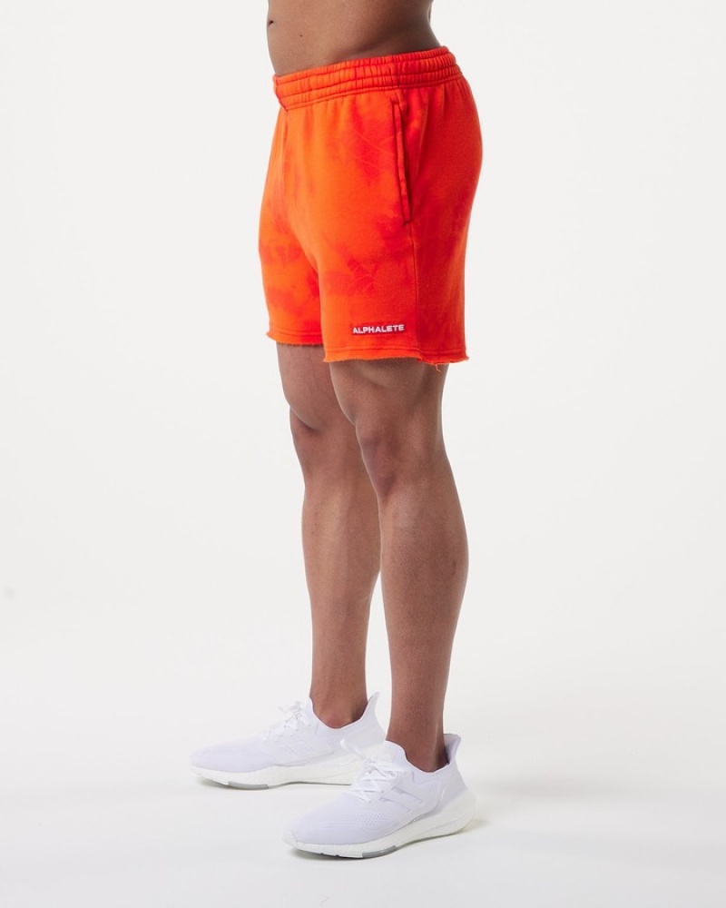 Pantaloni Scurti Barbati Alphalete HCTS 5