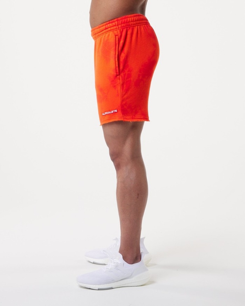 Pantaloni Scurti Barbati Alphalete HCTS 5