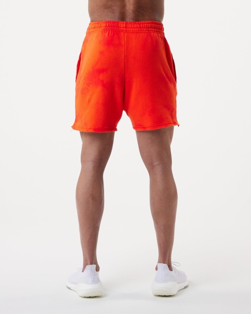 Pantaloni Scurti Barbati Alphalete HCTS 5
