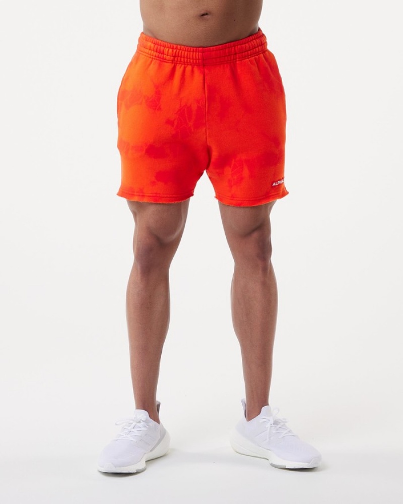 Pantaloni Scurti Barbati Alphalete HCTS 5\