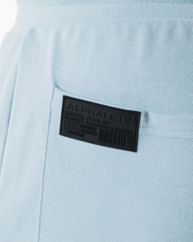 Pantaloni Scurti Barbati Alphalete Identity 6” Albastri | 042675-GZN