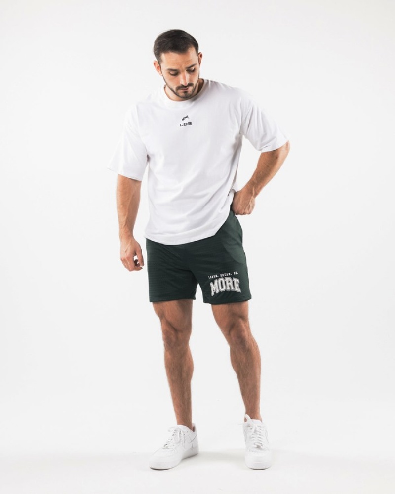 Pantaloni Scurti Barbati Alphalete LDB More Mesh 6