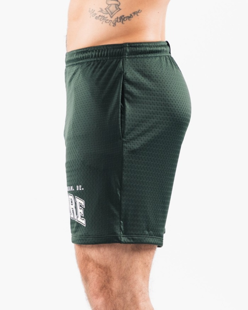 Pantaloni Scurti Barbati Alphalete LDB More Mesh 6