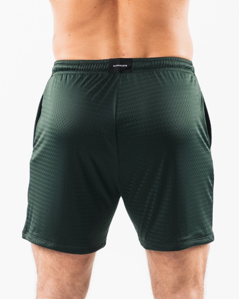 Pantaloni Scurti Barbati Alphalete LDB More Mesh 6