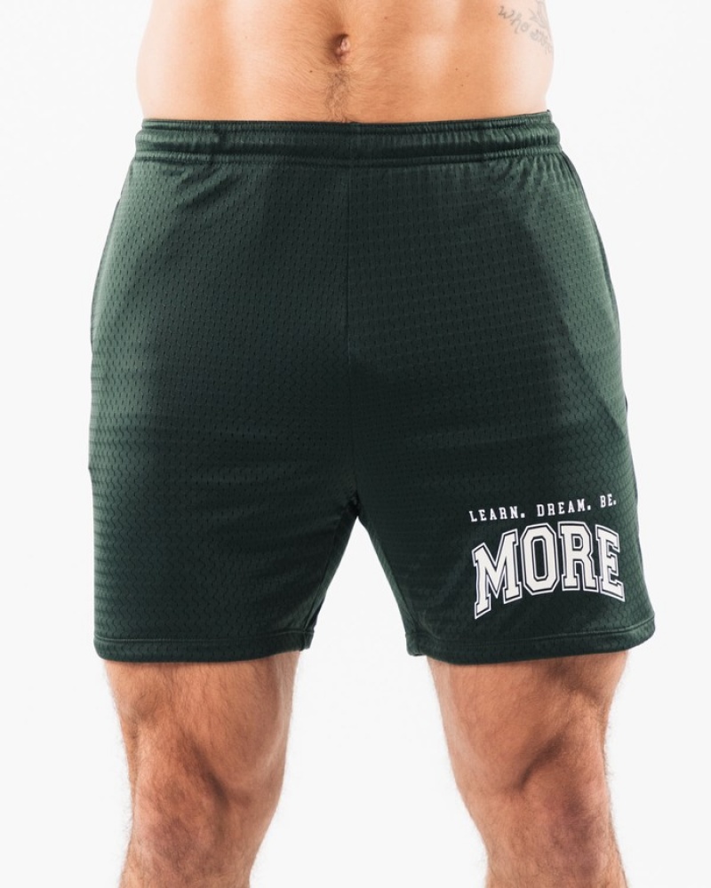 Pantaloni Scurti Barbati Alphalete LDB More Mesh 6\