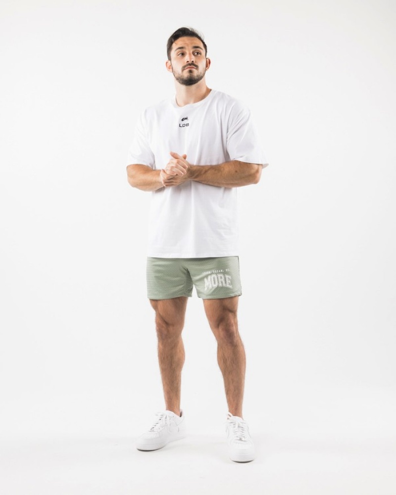 Pantaloni Scurti Barbati Alphalete LDB More Mesh 6