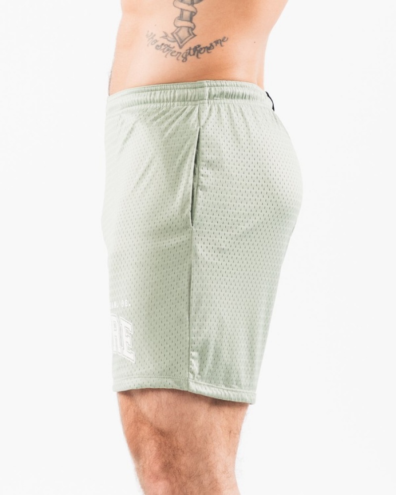 Pantaloni Scurti Barbati Alphalete LDB More Mesh 6