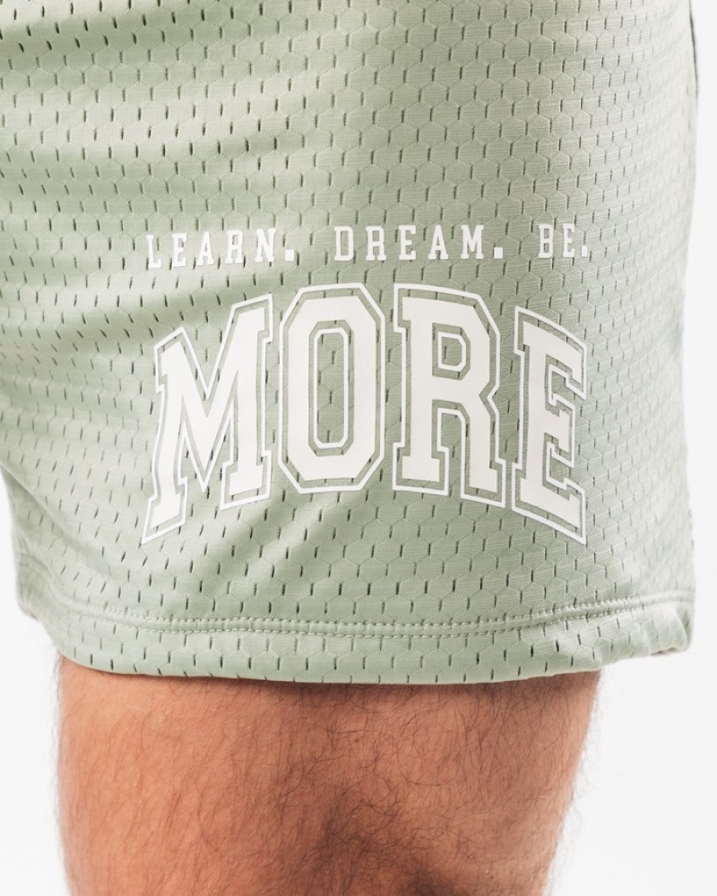 Pantaloni Scurti Barbati Alphalete LDB More Mesh 6