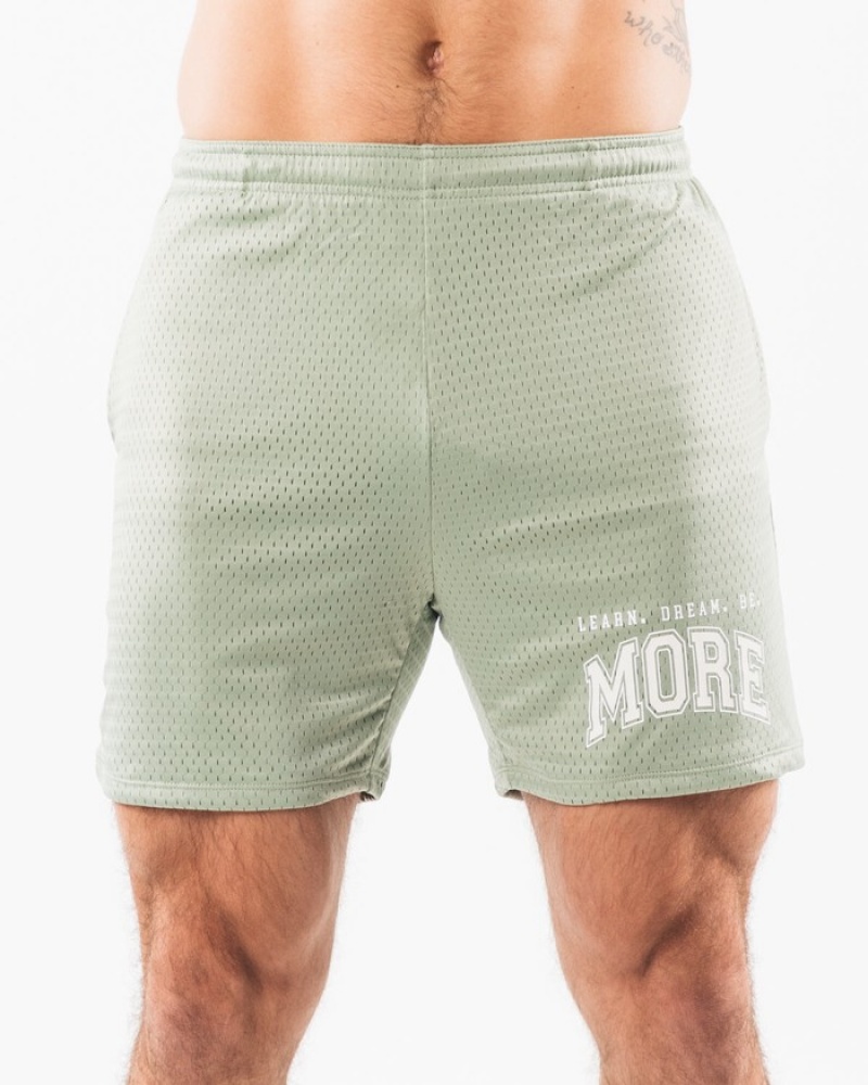 Pantaloni Scurti Barbati Alphalete LDB More Mesh 6\