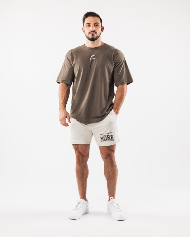Pantaloni Scurti Barbati Alphalete LDB More Mesh 6