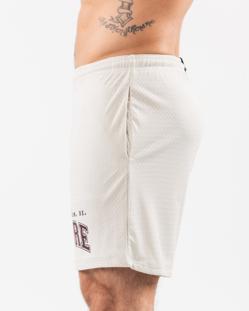 Pantaloni Scurti Barbati Alphalete LDB More Mesh 6