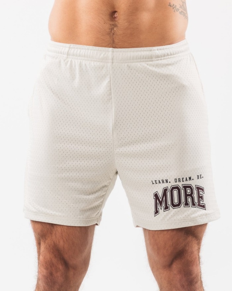 Pantaloni Scurti Barbati Alphalete LDB More Mesh 6\