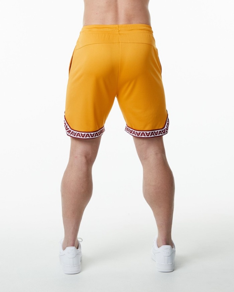 Pantaloni Scurti Barbati Alphalete Varsity Basketball 9