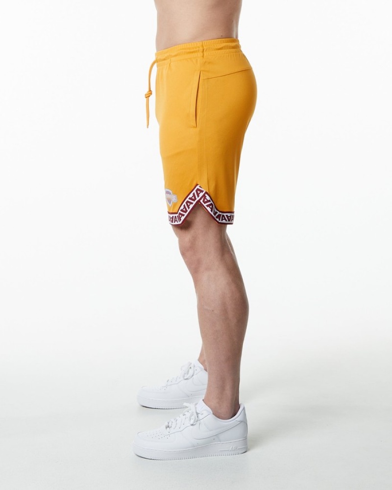 Pantaloni Scurti Barbati Alphalete Varsity Basketball 9