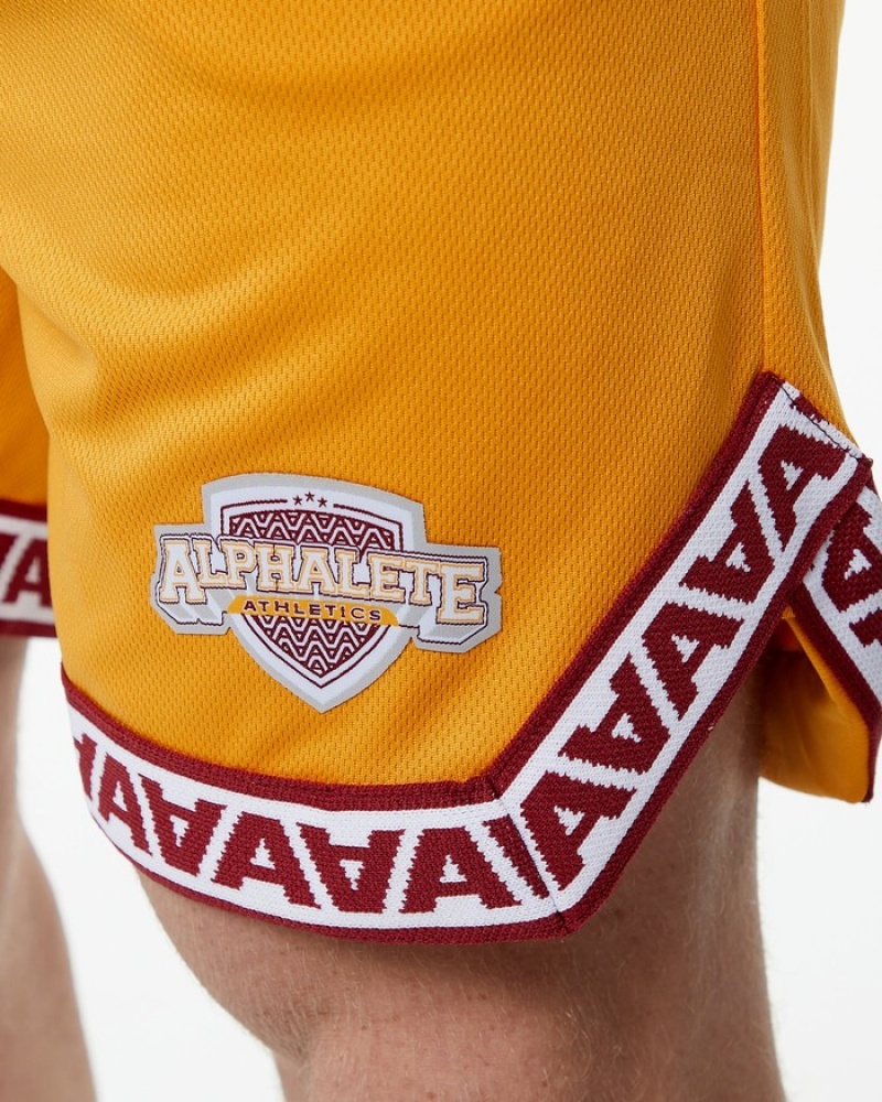 Pantaloni Scurti Barbati Alphalete Varsity Basketball 9