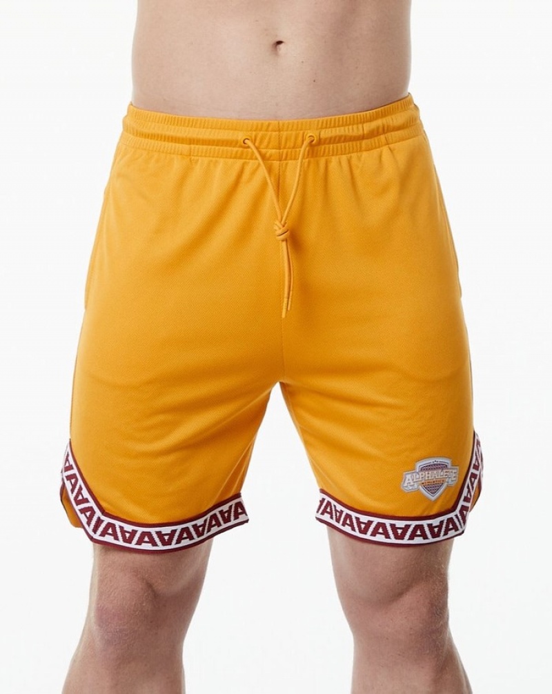 Pantaloni Scurti Barbati Alphalete Varsity Basketball 9\
