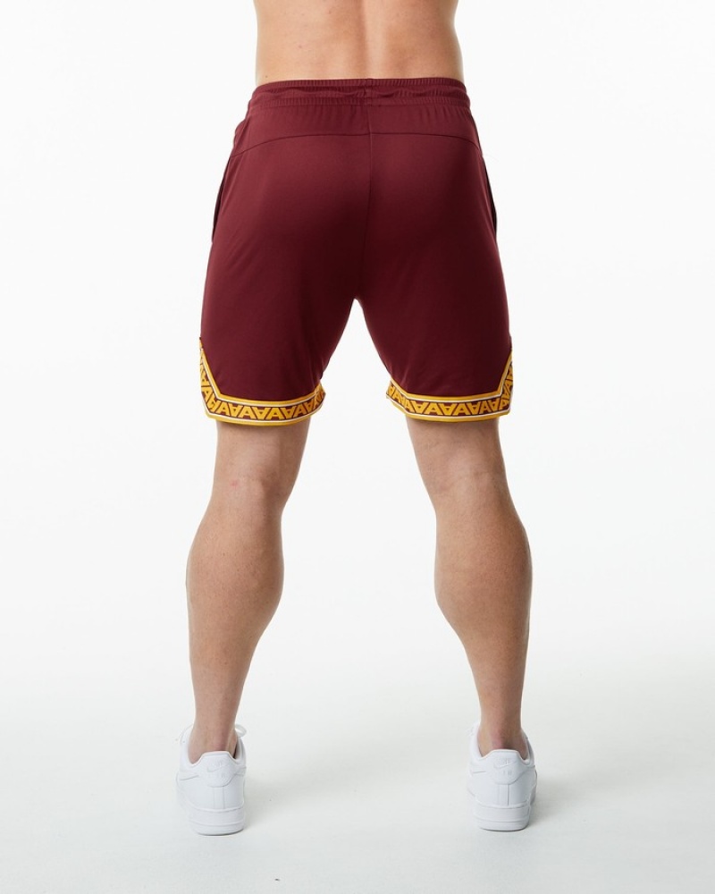 Pantaloni Scurti Barbati Alphalete Varsity Basketball 9