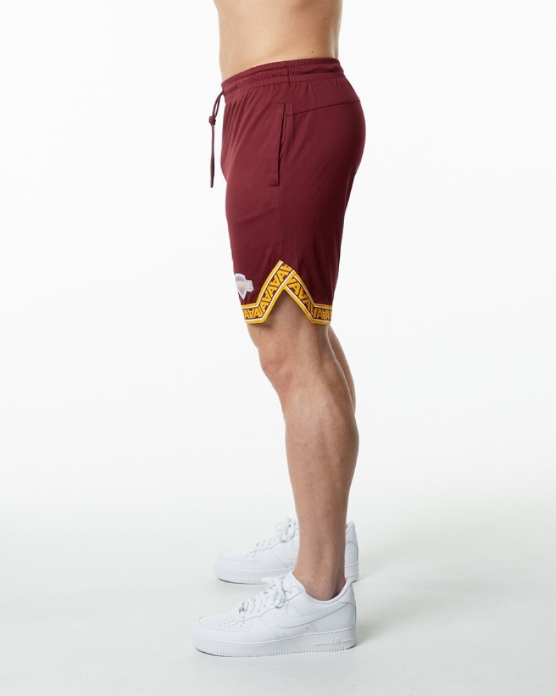 Pantaloni Scurti Barbati Alphalete Varsity Basketball 9