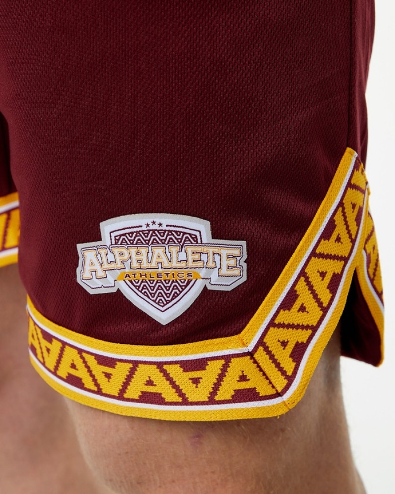 Pantaloni Scurti Barbati Alphalete Varsity Basketball 9