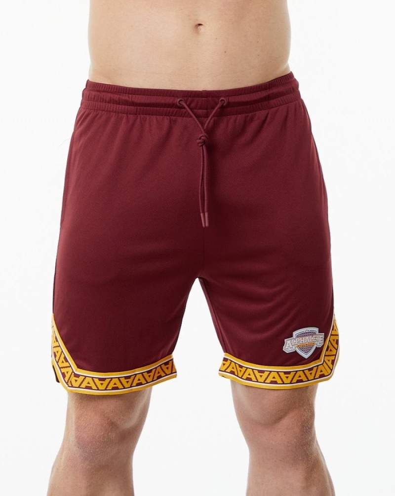 Pantaloni Scurti Barbati Alphalete Varsity Basketball 9\