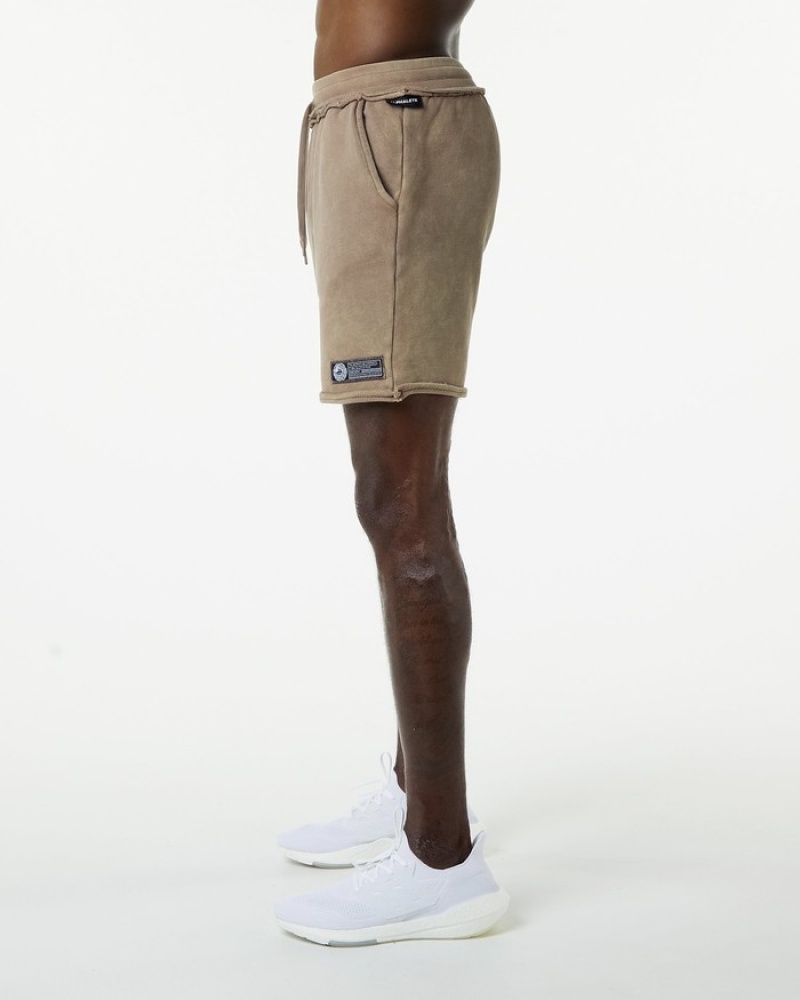 Pantaloni Scurti Barbati Alphalete Very Terry Gri | 470932-MGX