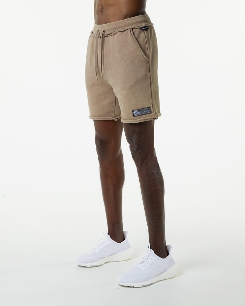 Pantaloni Scurti Barbati Alphalete Very Terry Gri | 470932-MGX