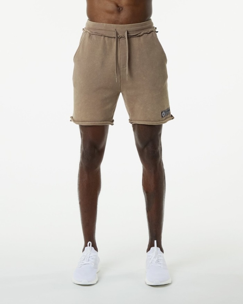Pantaloni Scurti Barbati Alphalete Very Terry Gri | 470932-MGX