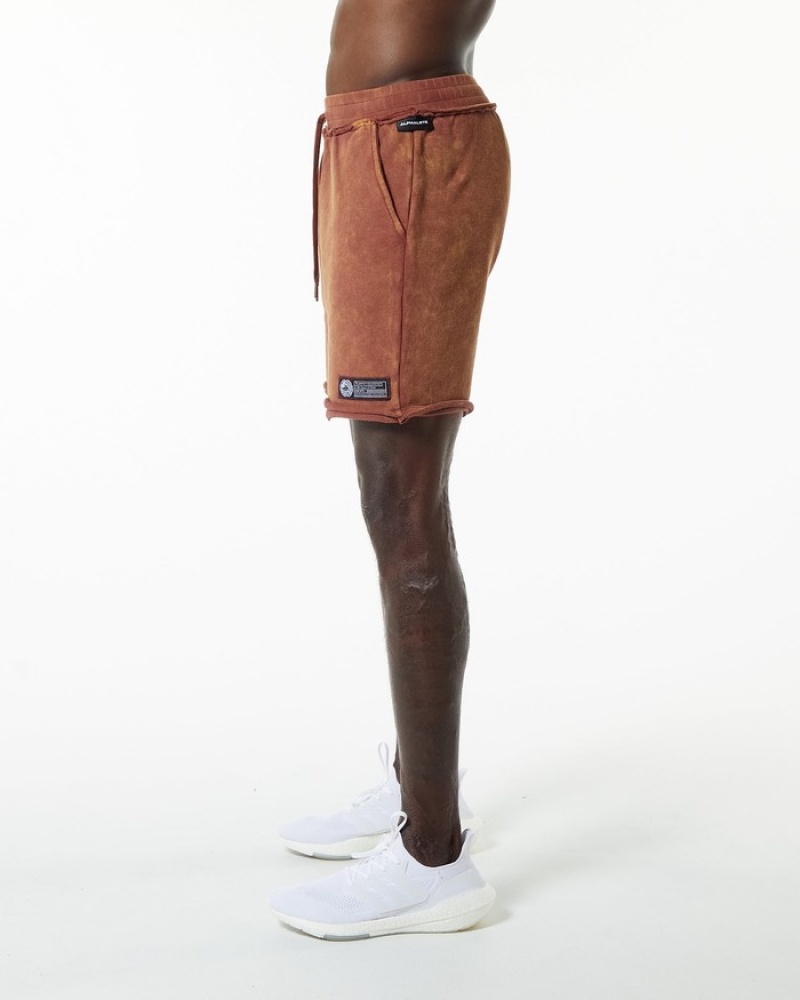 Pantaloni Scurti Barbati Alphalete Very Terry Kaki | 725396-HPL
