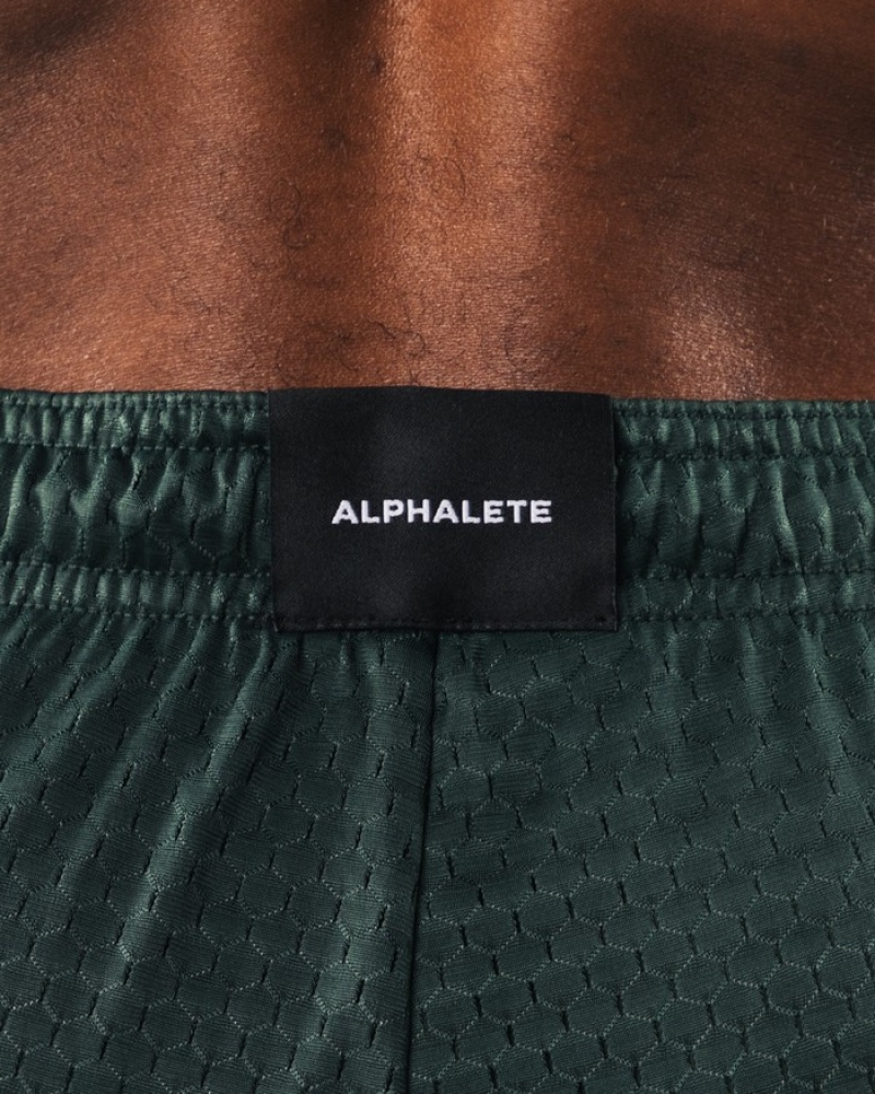 Pantaloni Scurti Barbati Alphalete Wolf Head Mesh 6