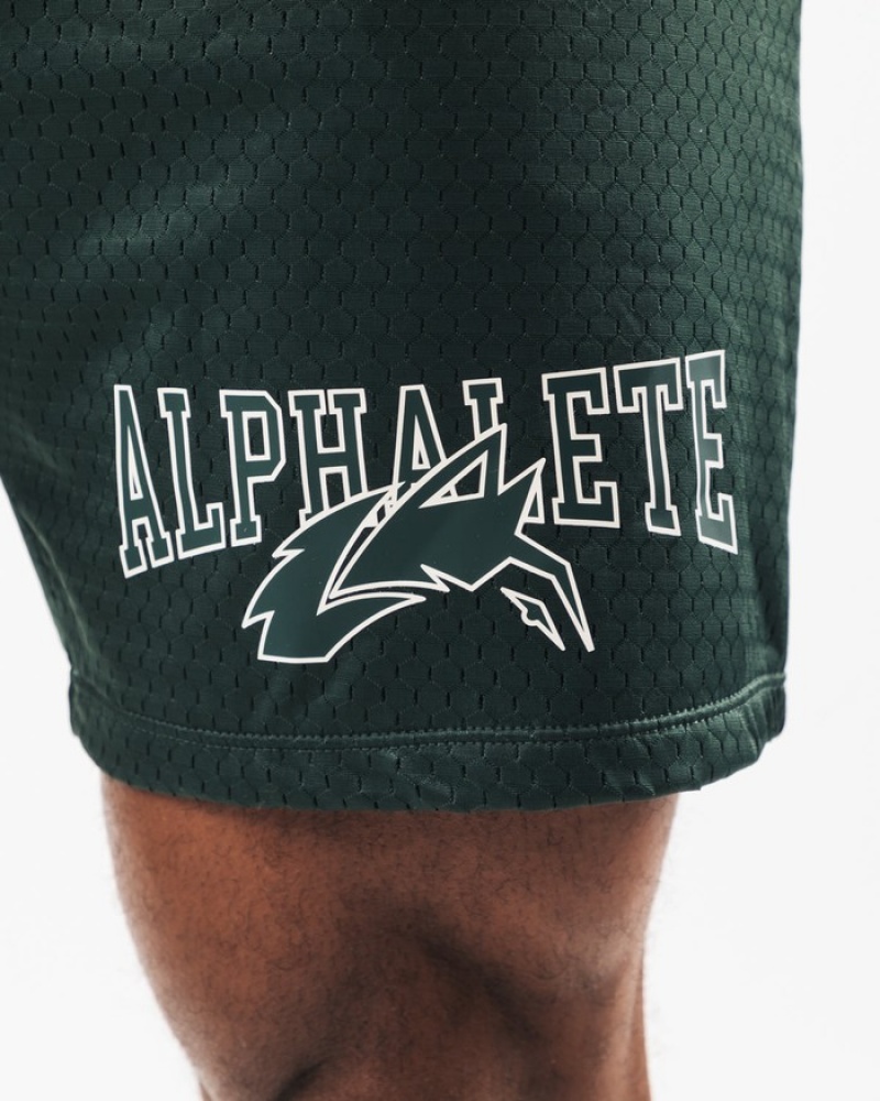 Pantaloni Scurti Barbati Alphalete Wolf Head Mesh 6