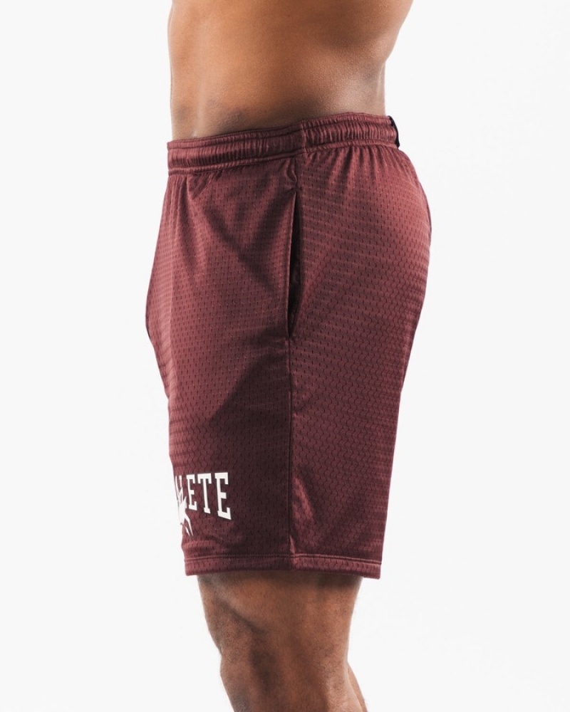 Pantaloni Scurti Barbati Alphalete Wolf Head Mesh 6