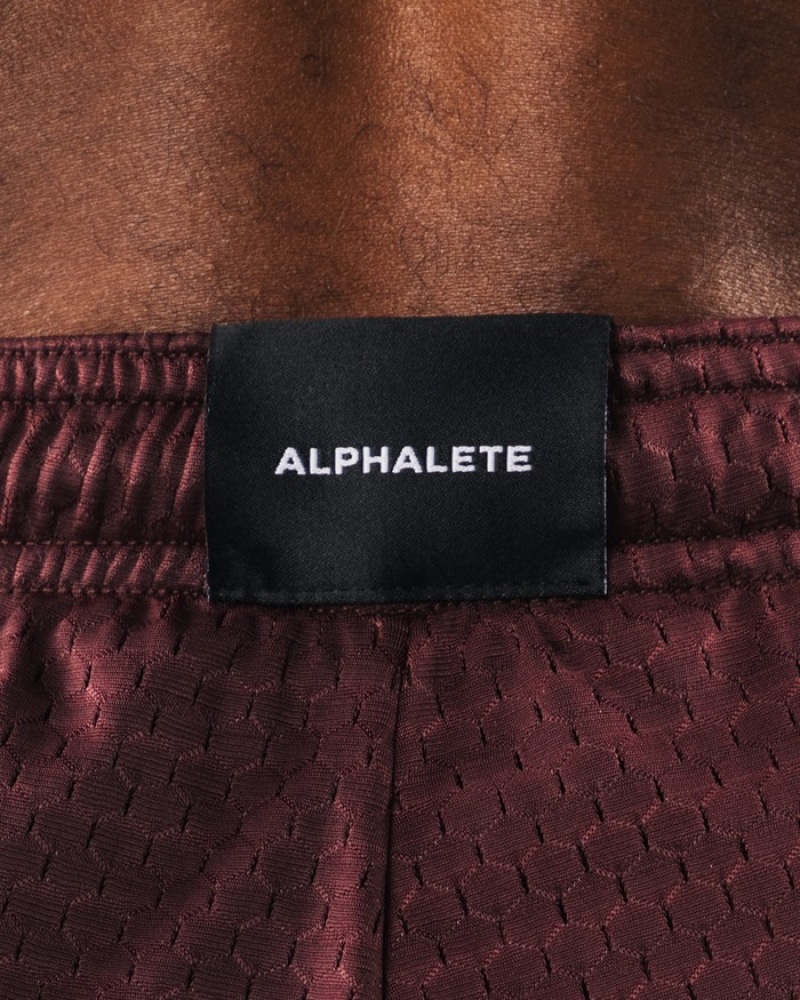 Pantaloni Scurti Barbati Alphalete Wolf Head Mesh 6