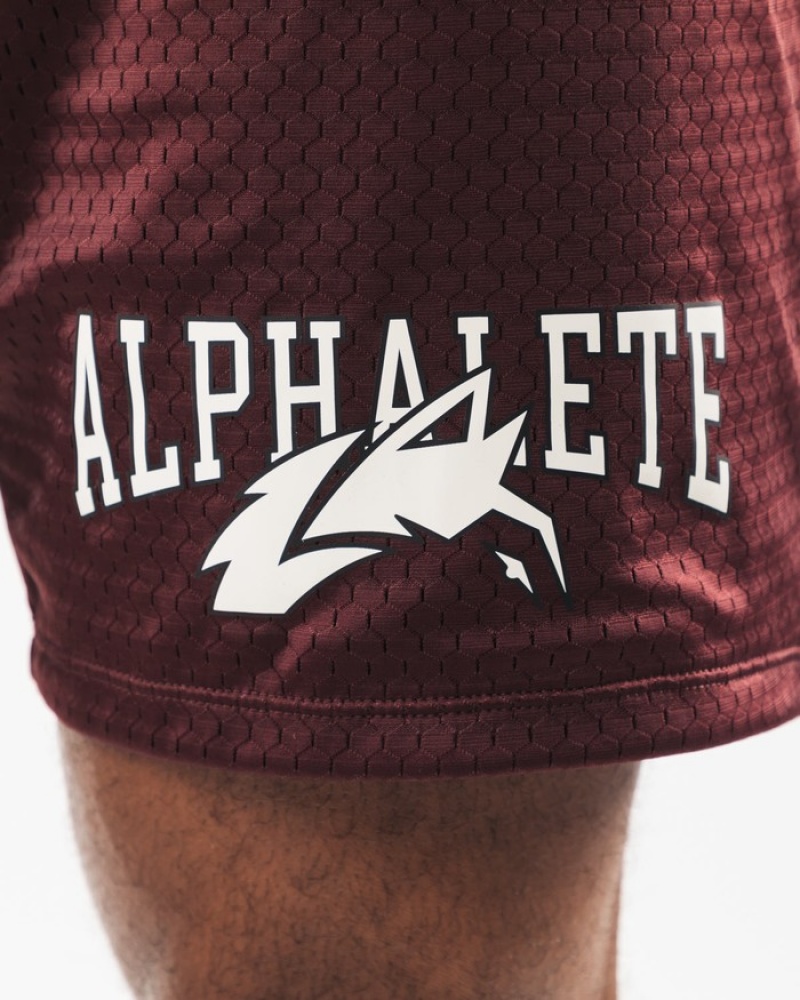 Pantaloni Scurti Barbati Alphalete Wolf Head Mesh 6