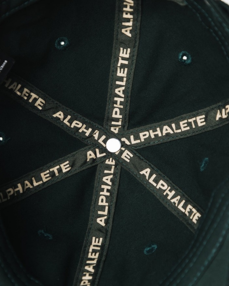 Sapca Barbati Alphalete Collegiate Vintage Verzi | 612074-YFP
