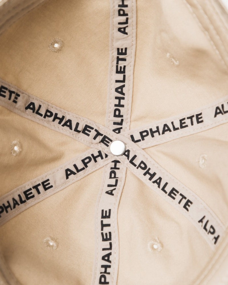 Sapca Barbati Alphalete Collegiate Vintage Bej | 396402-FWJ