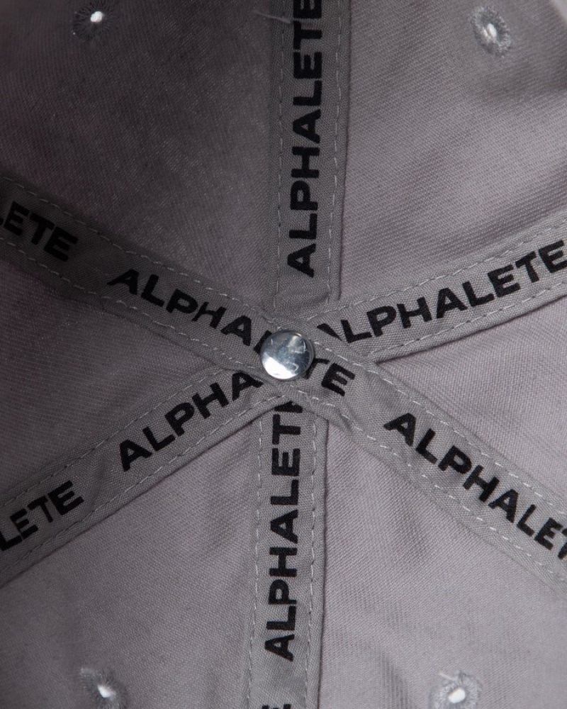 Sapca Barbati Alphalete Collegiate Vintage Gri | 297586-GMK