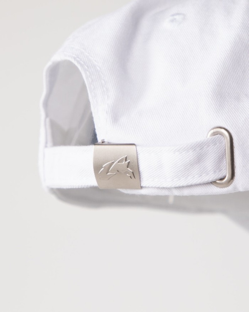Sapca Barbati Alphalete Collegiate Vintage Albi | 463087-LXO
