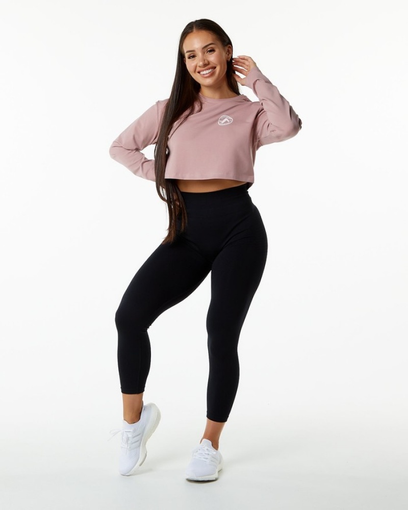 Tricouri Dama Alphalete Dynasty LS Crop Violet | 284069-MIU