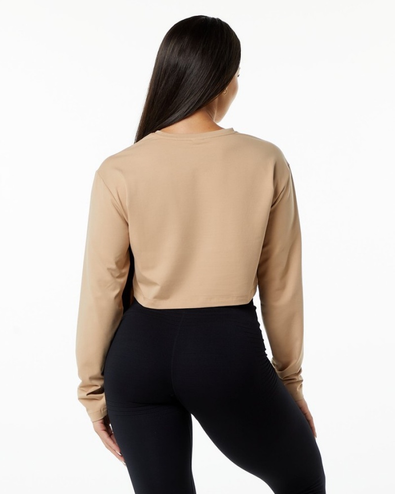 Tricouri Dama Alphalete Dynasty LS Crop Gri Maro | 975284-CDH