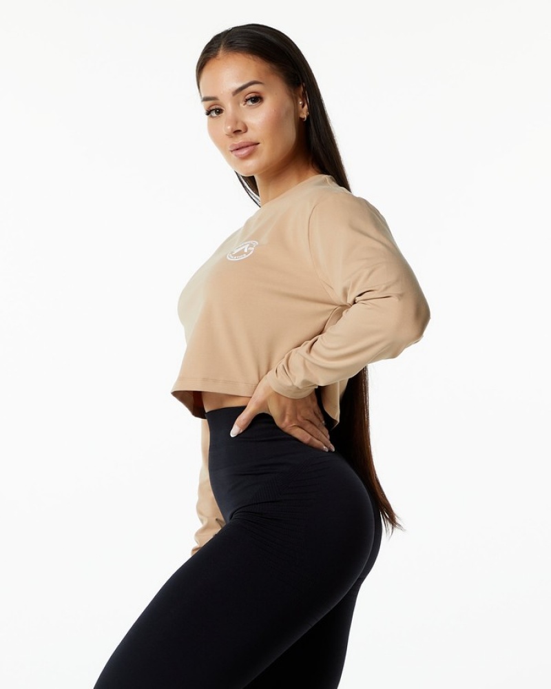 Tricouri Dama Alphalete Dynasty LS Crop Gri Maro | 975284-CDH