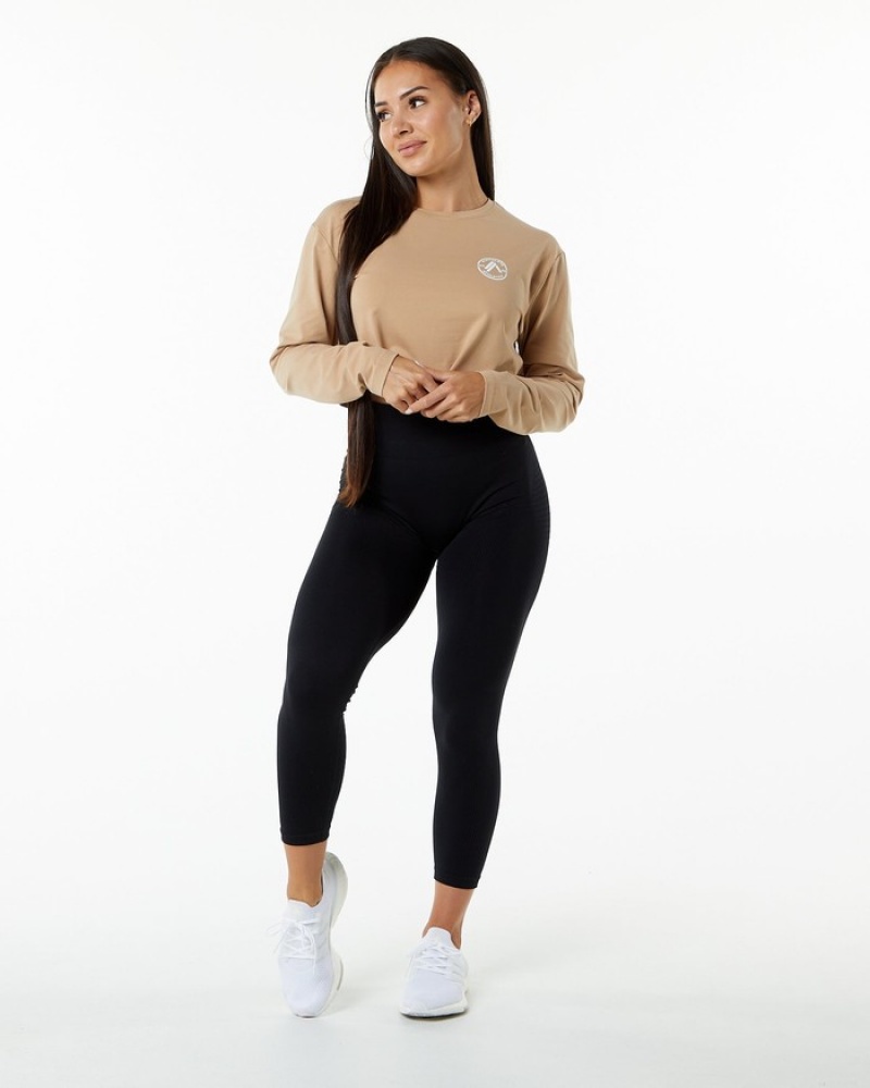 Tricouri Dama Alphalete Dynasty LS Crop Gri Maro | 975284-CDH