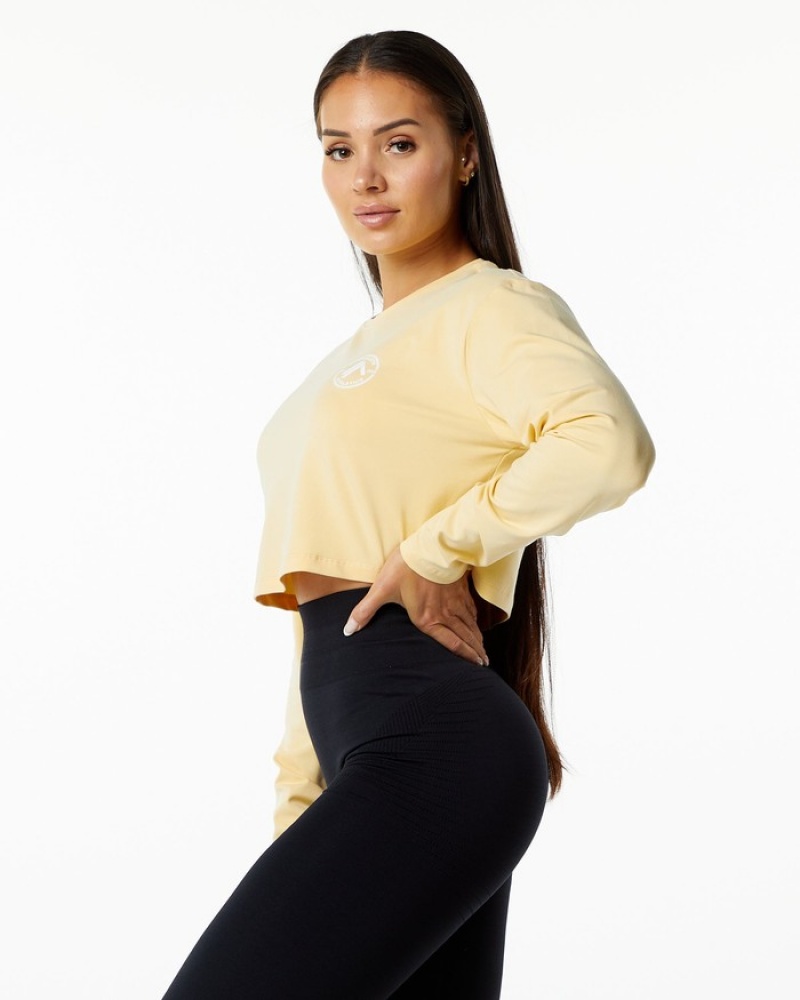 Tricouri Dama Alphalete Dynasty LS Crop Bej | 584093-CTA