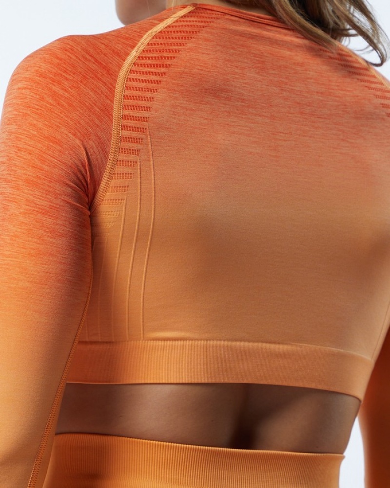 Tricouri Dama Alphalete Ombre Amplify LS Crop Portocalii | 489175-VHY